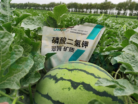 水溶肥，拉姆拉，翠姆