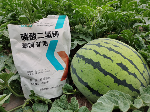 水溶肥，翠姆，拉姆拉