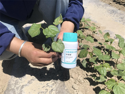 水溶肥,翠姆,拉姆拉 水溶肥,翠姆,拉姆拉