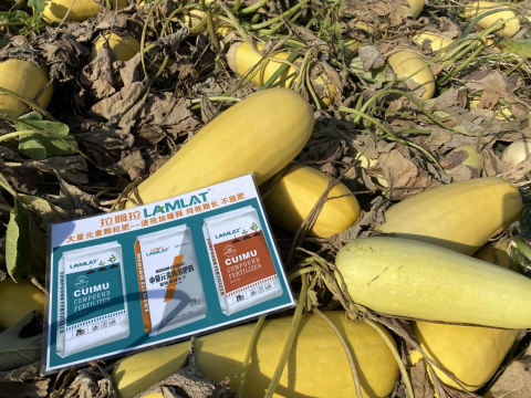 水溶肥,西葫蘆種植,拉姆拉滴灌級特種肥